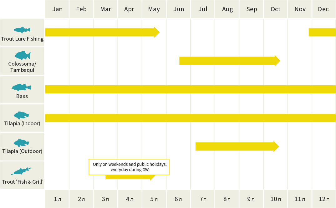 年間スケジュール表