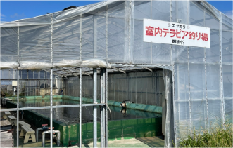 屋内ハウス